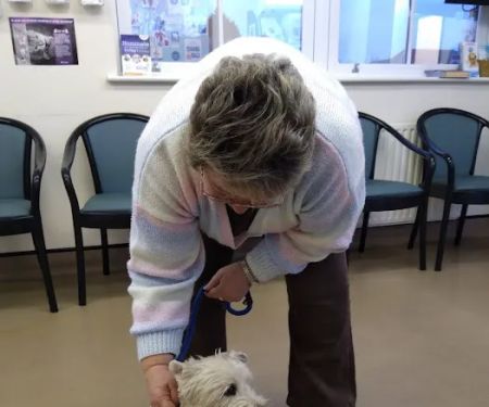 Medivet Horncastle