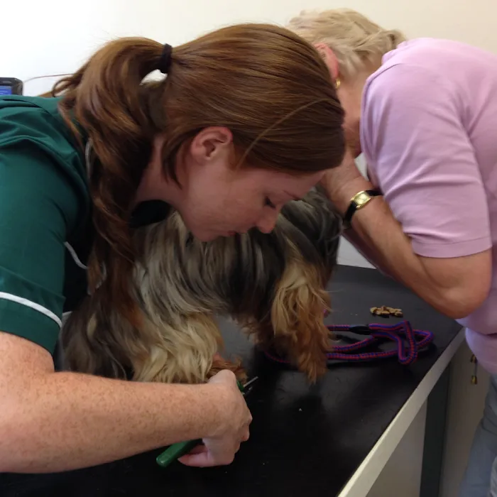 Medivet Horncastle Picture 8