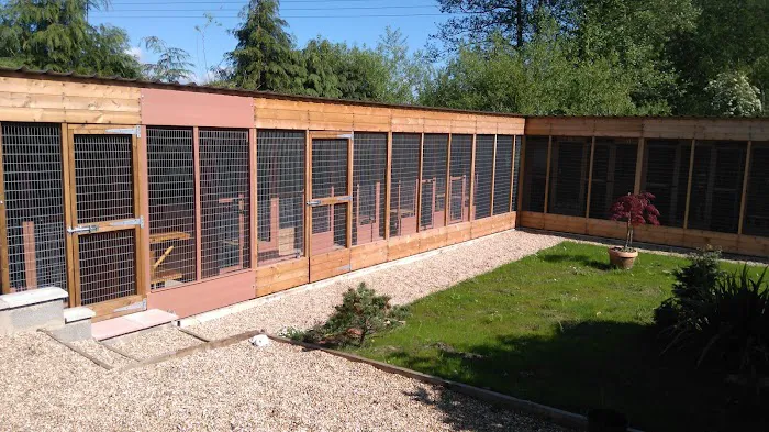 Meadow Lodge Cattery Picture 5