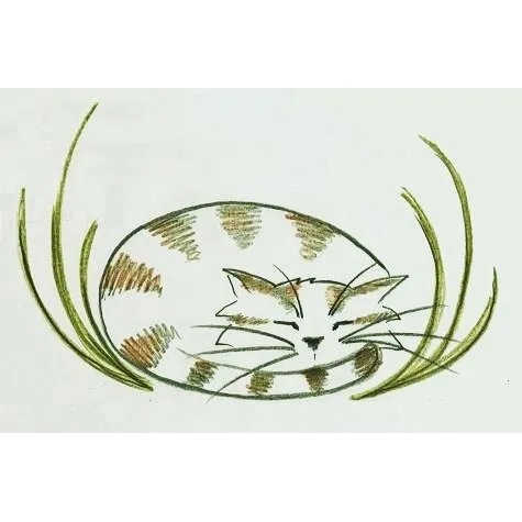 Meadow Lodge Cattery Picture 6