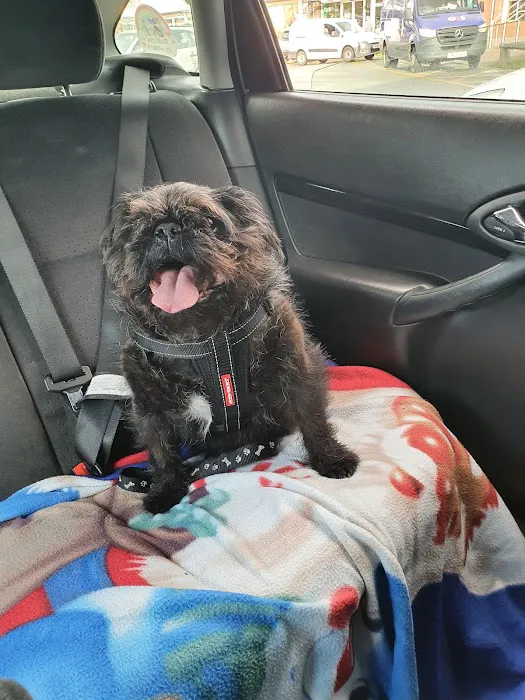 Vets4Pets - Bradford Idle (Eccleshill) Picture 5
