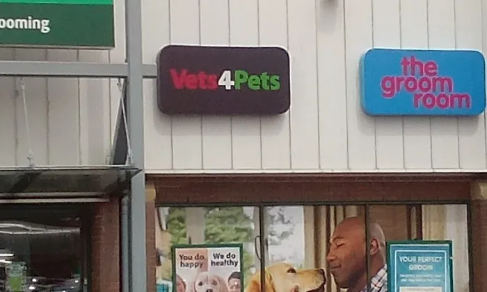 Vets4Pets - Bradford Idle (Eccleshill) Picture 6