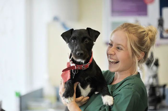 Shipley and Idle Veterinary Centres Picture 1