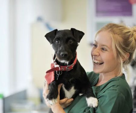 Shipley and Idle Veterinary Centres