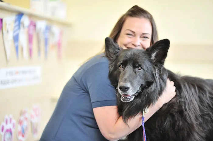 Shipley and Idle Veterinary Centres Picture 6