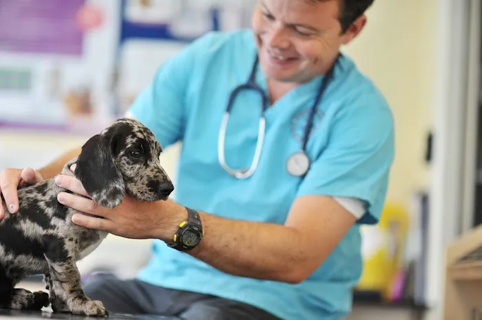 Shipley and Idle Veterinary Centres Picture 3
