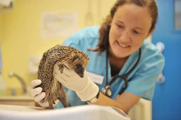 Shipley and Idle Veterinary Centres Picture 9