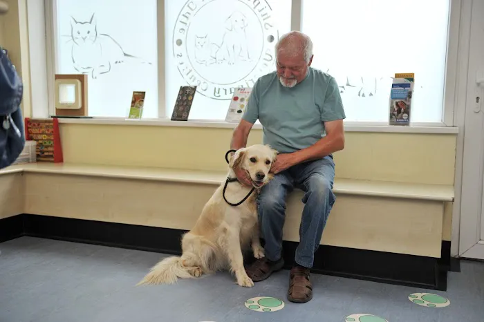 Shipley and Idle Veterinary Centres Picture 8