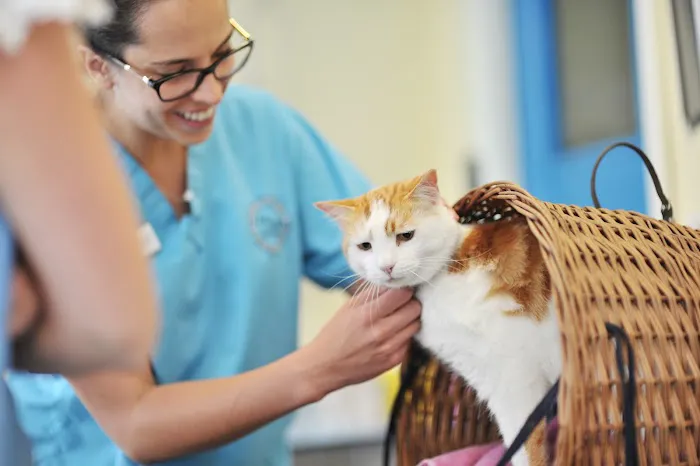 Shipley and Idle Veterinary Centres Picture 10