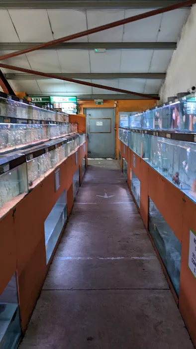 Maidenhead Aquatics Wenvoe Picture 1