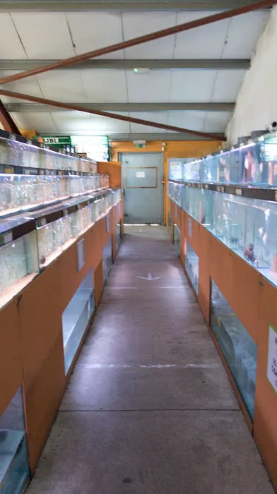 Maidenhead Aquatics Wenvoe Picture 4