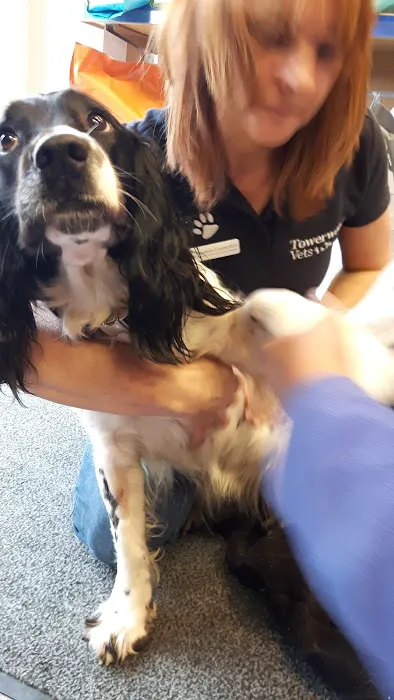Towerwood Vets, Greengates Picture 4