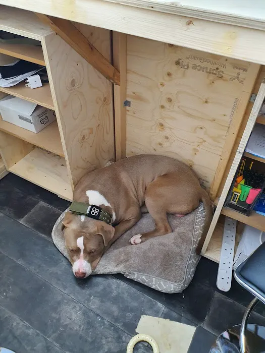 Vale Raw Store Picture 5