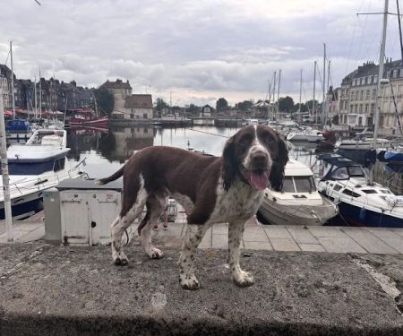 Oakbank Veterinary Services