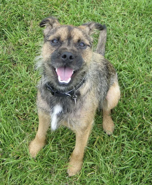 Oakbank Veterinary Services Picture 2