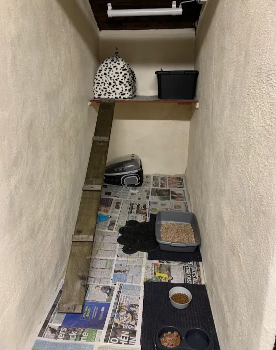 Wrose Cattery Picture 4