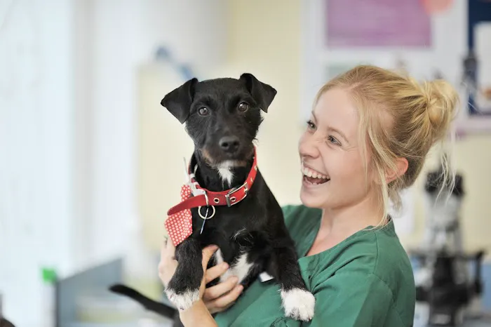Shipley and Idle Veterinary Centres Picture 3