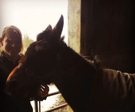 Manor Equine Vets Ltd