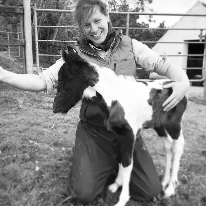 Manor Equine Vets Ltd Picture 2