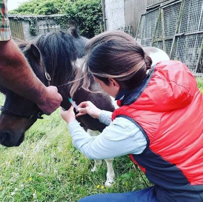 Manor Equine Vets Ltd Picture 4