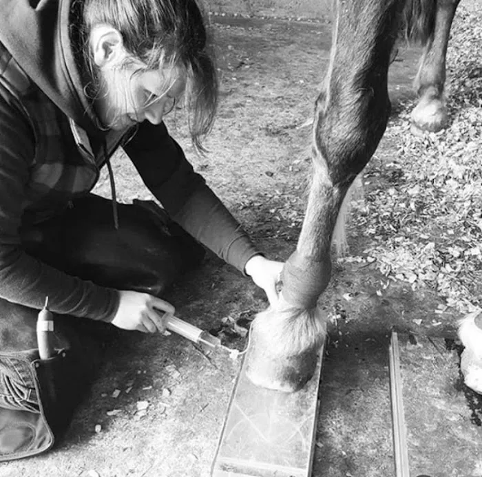 Manor Equine Vets Ltd Picture 10
