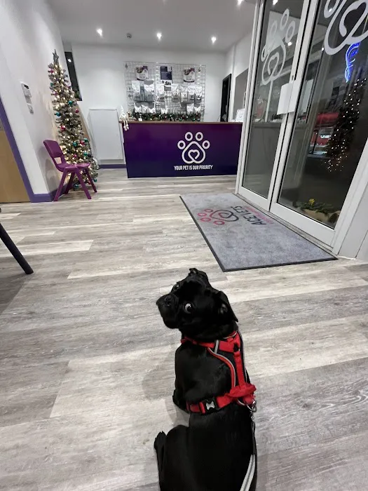Ards Veterinary Clinic (ACE Vets) Picture 3