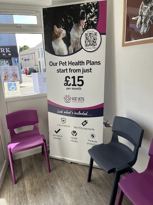 Ards Veterinary Clinic (ACE Vets) Picture 4