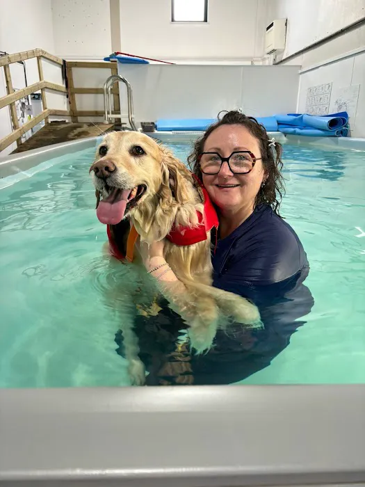 Vet Rehab Ni Ltd Picture 3
