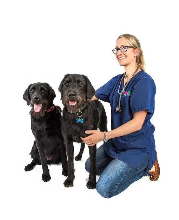 Vets4Pets - Newtownards Picture 1