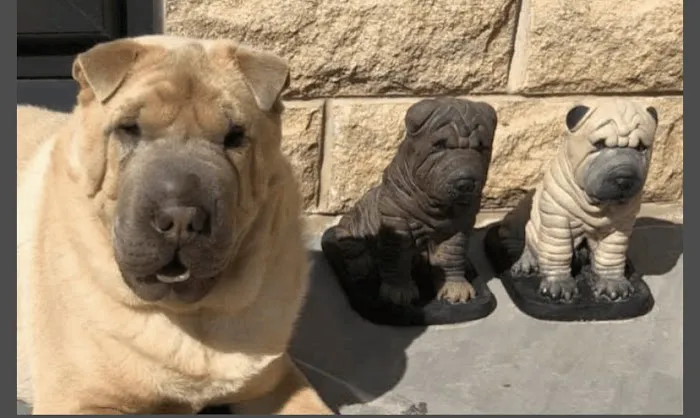 A Tail of Stone Picture 1