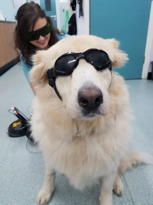 Ashwood Veterinary Clinic Picture 6