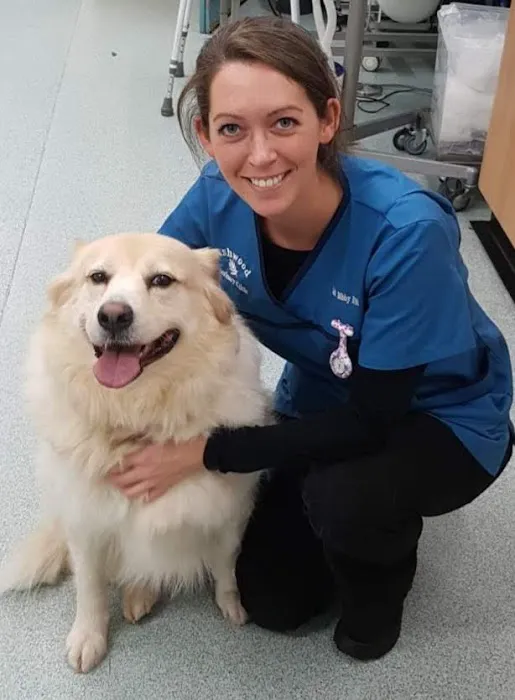 Ashwood Veterinary Clinic Picture 10