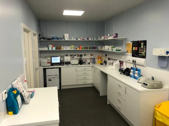 Garden Lodge Veterinary Clinic, Stormont Picture 6