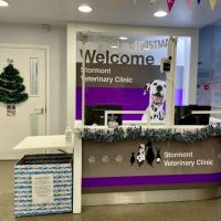 Garden Lodge Veterinary Clinic, Stormont ico