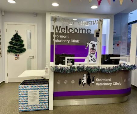 Garden Lodge Veterinary Clinic, Stormont