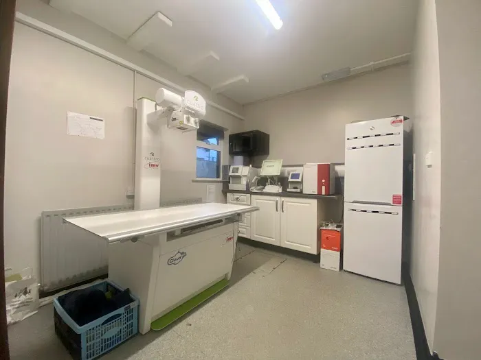 Garden Lodge Veterinary Clinic, Stormont Picture 9