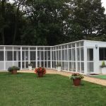 Cattery in Lincoln Willow Tree Cat Hotel