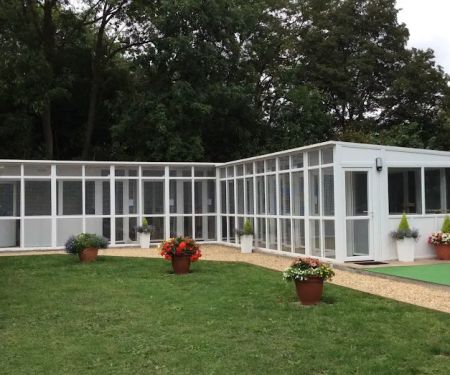 Cattery in Lincoln Willow Tree Cat Hotel