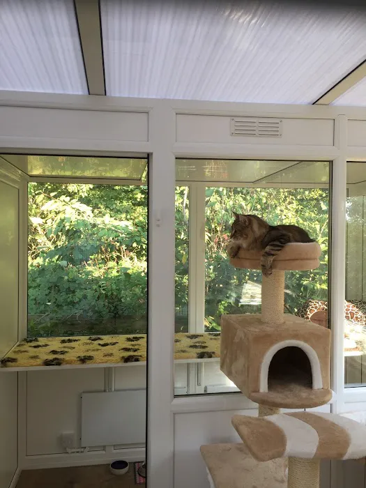 Cattery in Lincoln Willow Tree Cat Hotel Picture 4