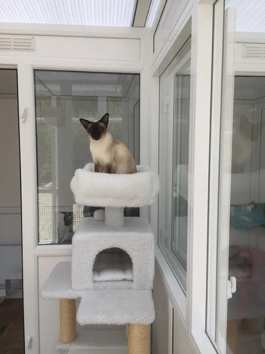 Cattery in Lincoln Willow Tree Cat Hotel Picture 10