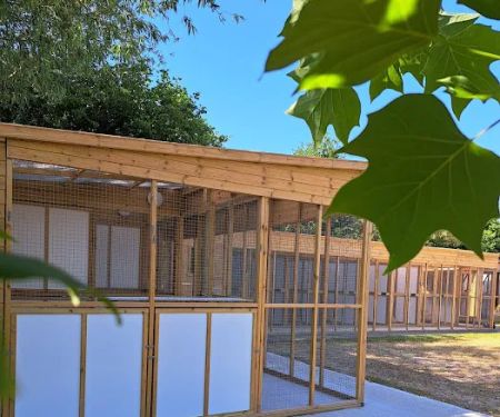 The Cottage Boarding Cattery