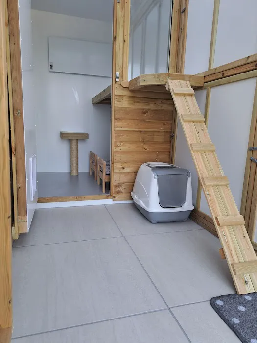The Cottage Boarding Cattery Picture 2