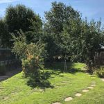Glenrovert Cattery