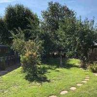 Glenrovert Cattery ico