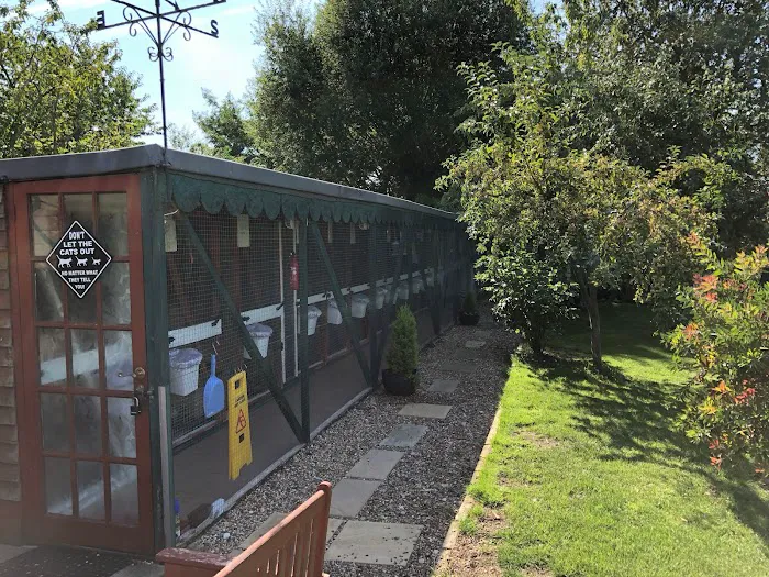 Glenrovert Cattery Picture 5