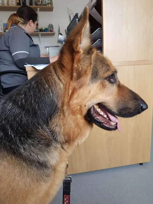 Witham View Veterinary Surgery Picture 1