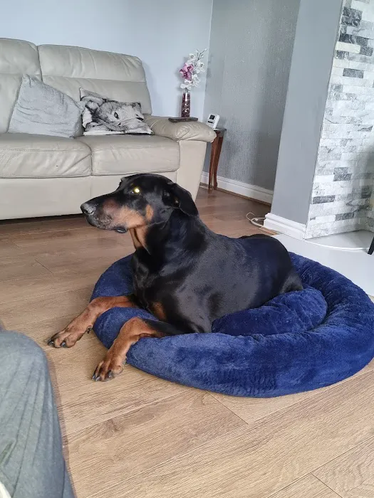 Abbey Vet Centre Picture 2