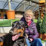 Abbey Vet Centre