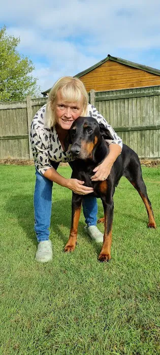Abbey Vet Centre Picture 5