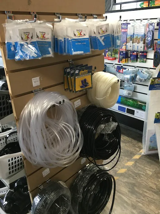 Derbyshire Koi & Aquatics Picture 7